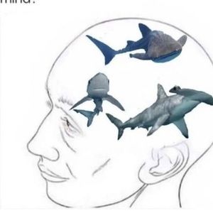 Meet your Posher, Yasmine